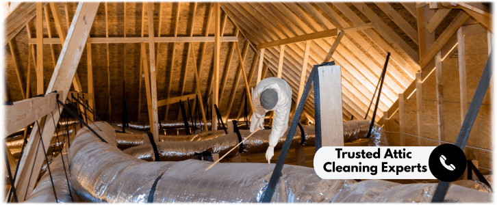 Attic Cleaning Pompano Beach